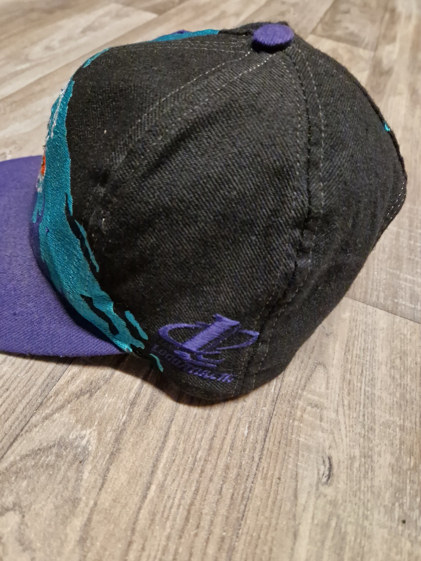 Charlotte Hornets Splash Snapback Hate