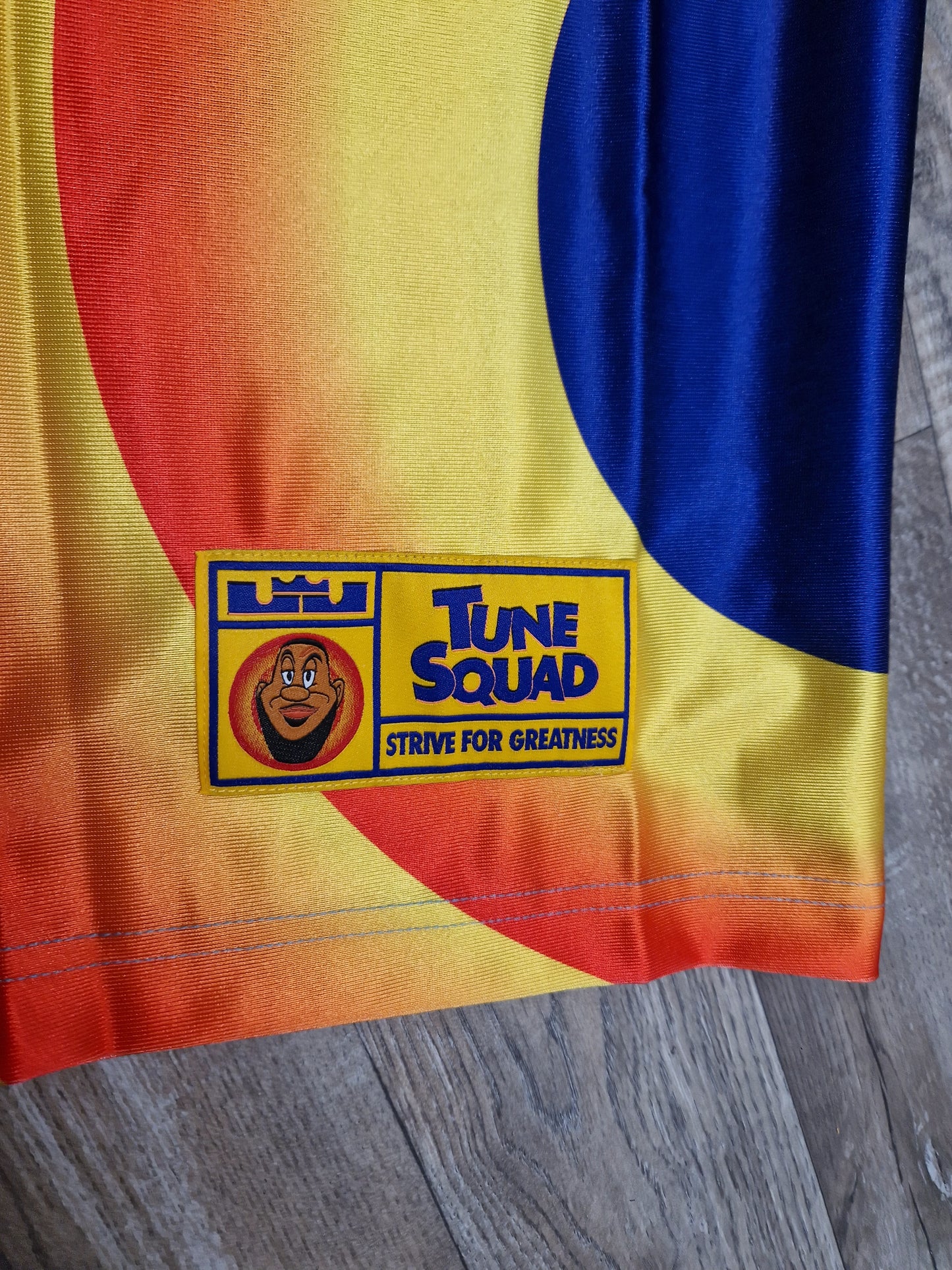 LeBron James Tune Squad Jersey Size XL