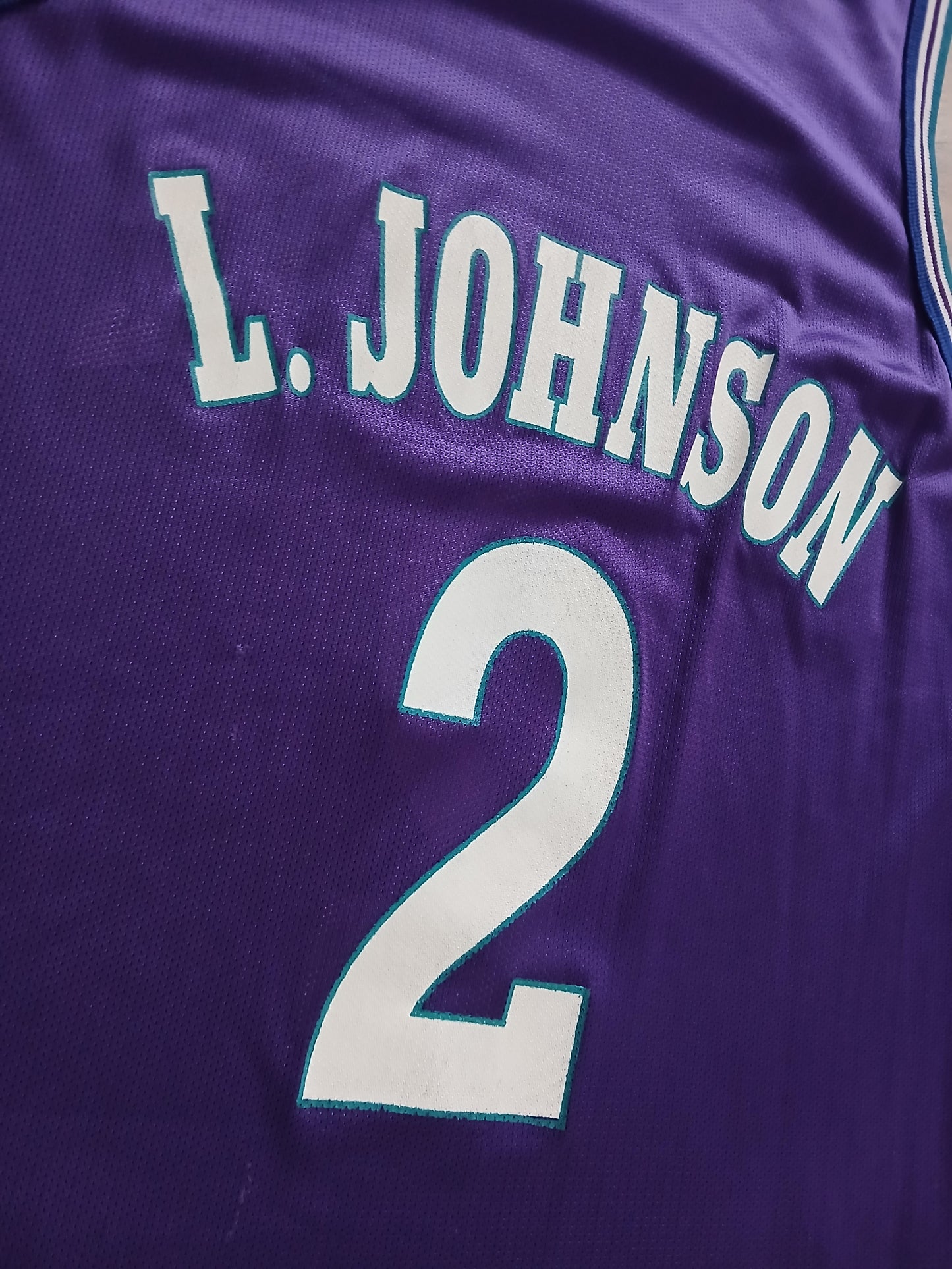 Larry Johnson Charlotte Hornets Jersey Size Large
