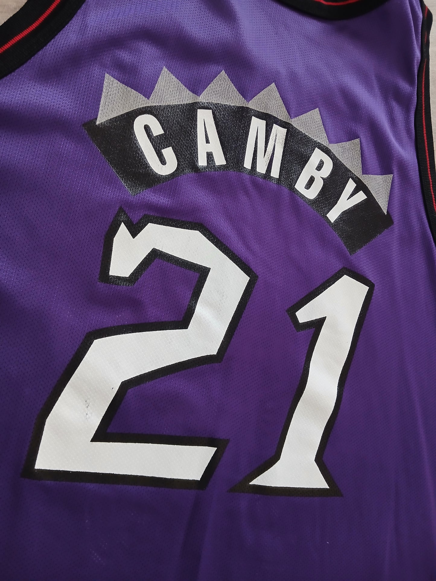 Marcus Camby Toronto Raptors Jersey Size Large