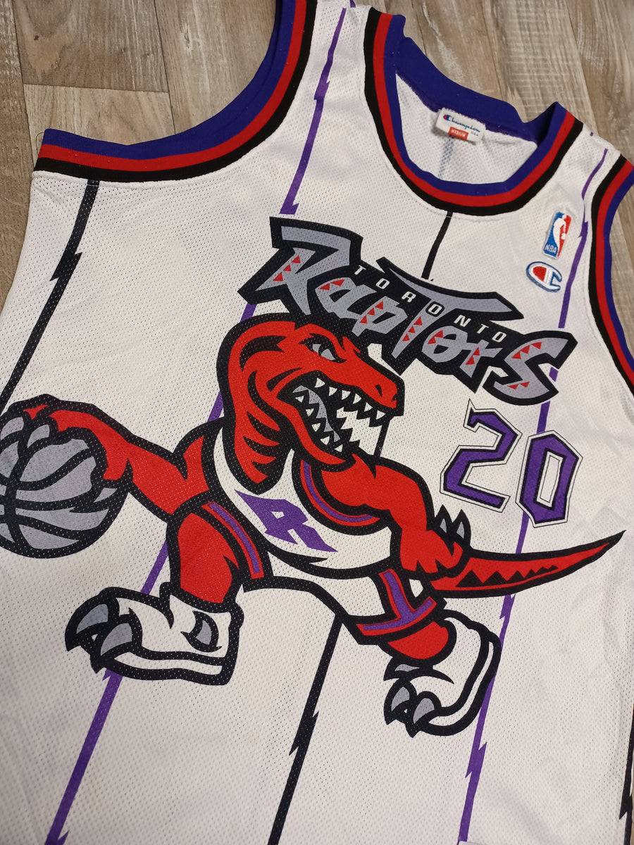 Raptors store stoudamire jersey