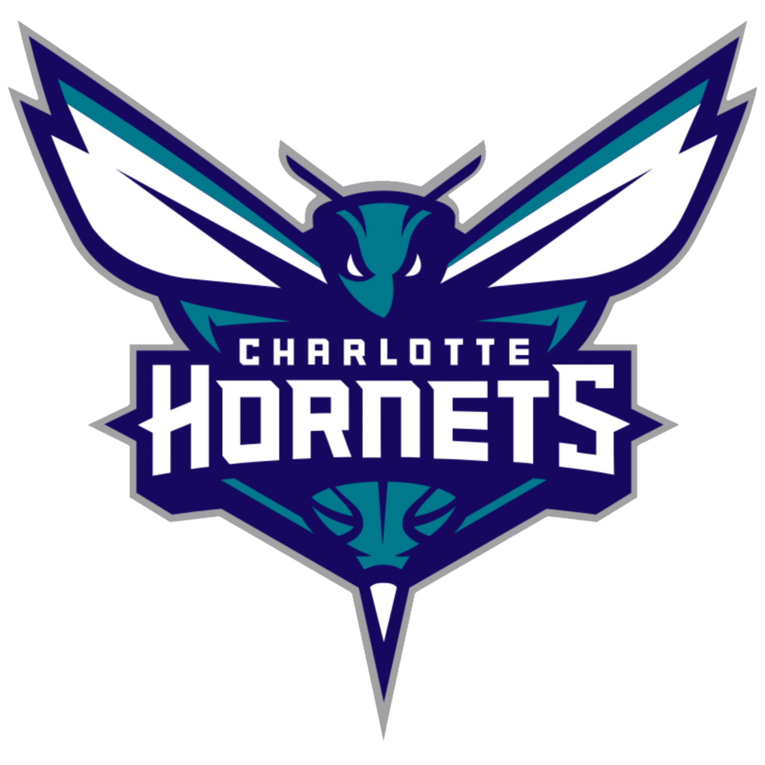 CHARLOTTE HORNETS