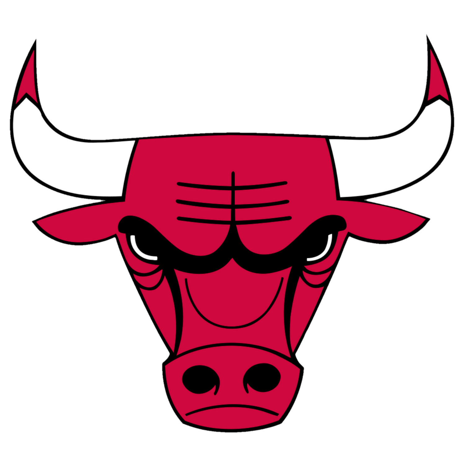 CHICAGO BULLS