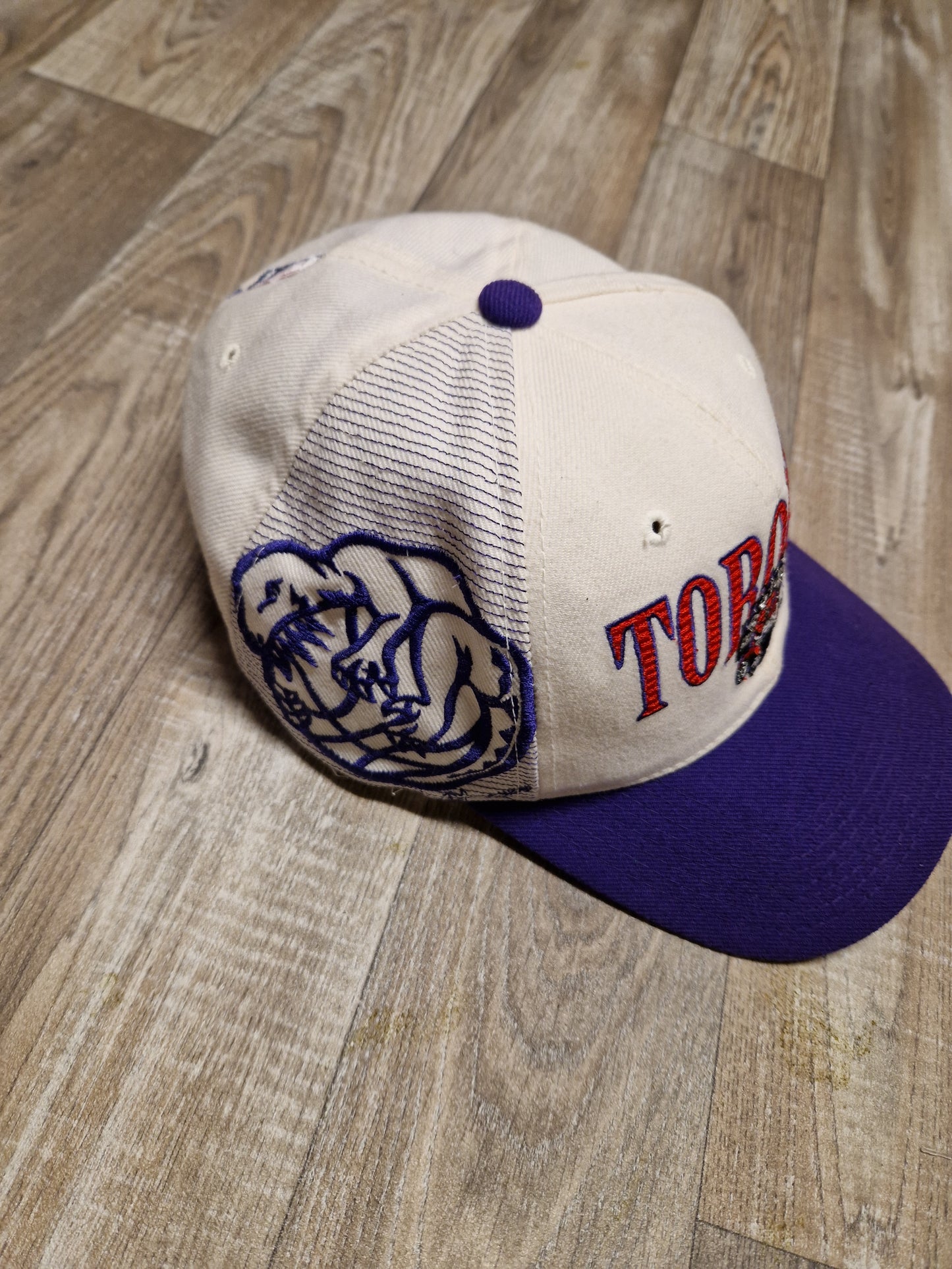 Toronto Raptors Snapback Hat