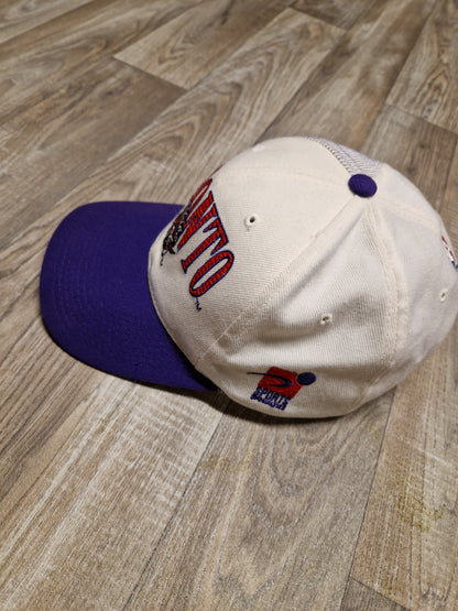 Toronto Raptors Snapback Hat