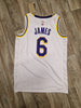 Load image into Gallery viewer, LeBron James Los Angeles Lakers Jersey Size Medium