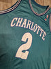 Load image into Gallery viewer, Larry Johnson Charlotte Hornets Jersey Size XL