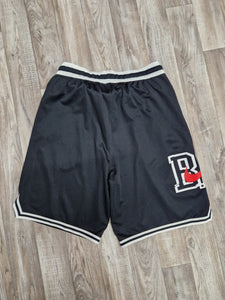 Brooklyn nets biggie store shorts