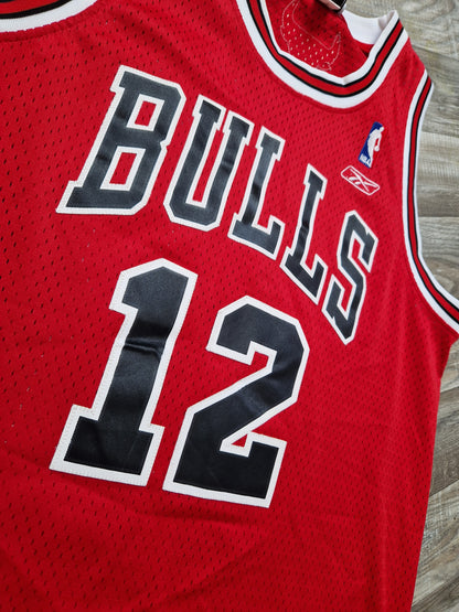 Kirk Hinrich Chicago Bulls Jersey Size Medium