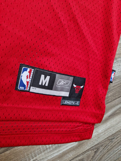Kirk Hinrich Chicago Bulls Jersey Size Medium