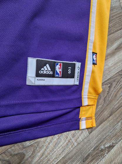 Steve Nash Los Angeles Lakers Jersey Size Small