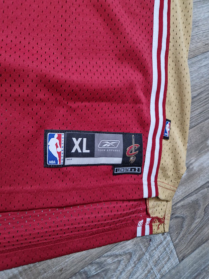 LeBron James Cleveland Cavaliers Jersey Size XL
