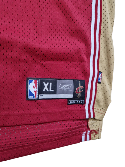 LeBron James Cleveland Cavaliers Jersey Size XL