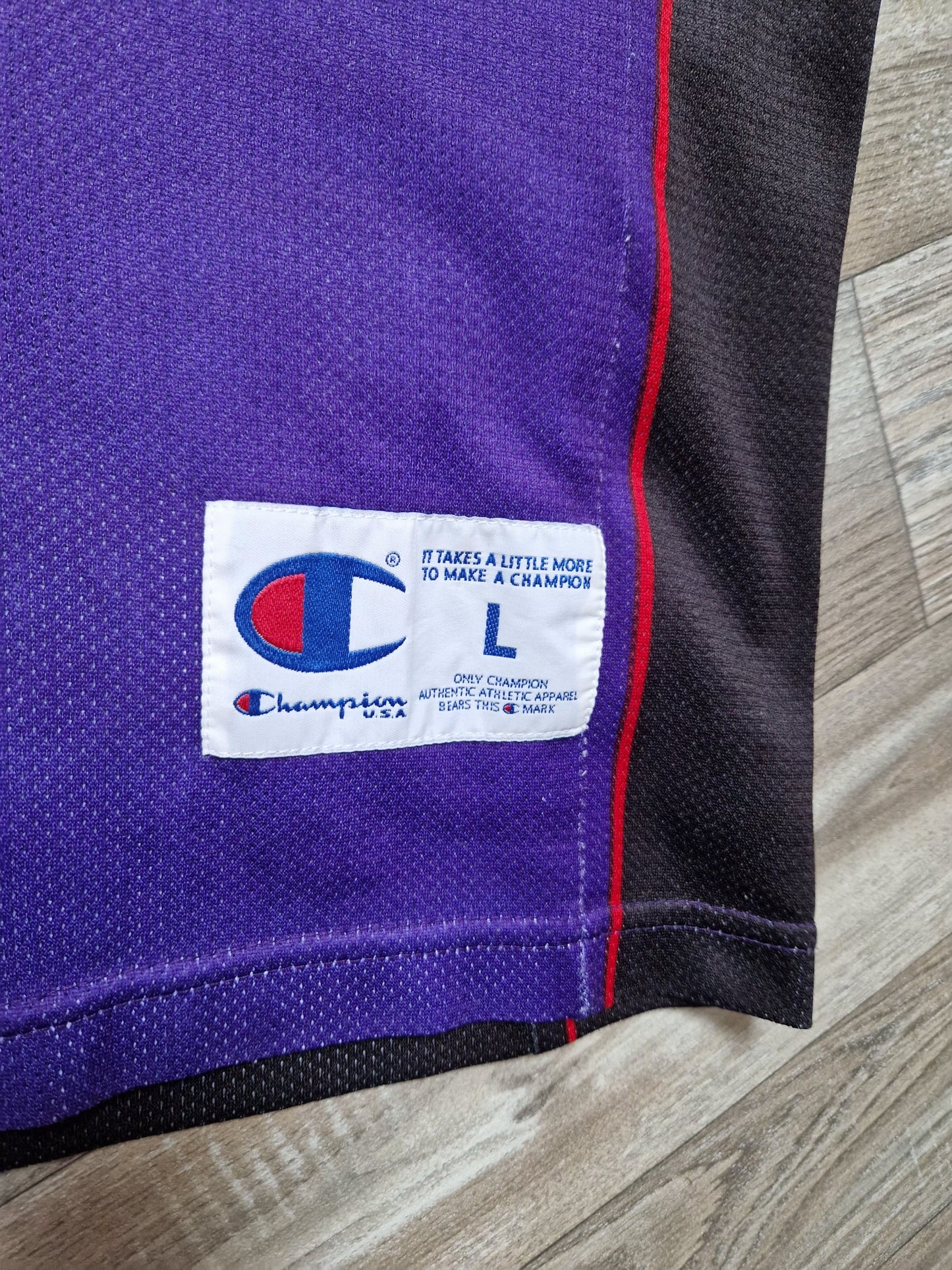 Vince Carter Toronto Raptors Jersey Size Large