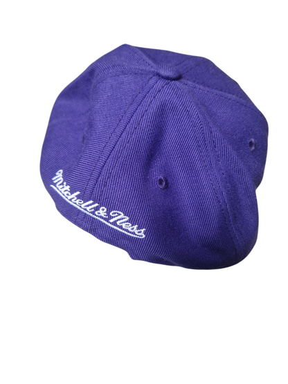 Phoenix Suns Snapback Hat