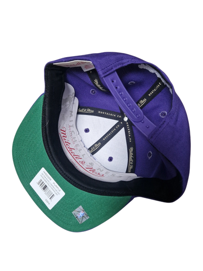 Phoenix Suns Snapback Hat