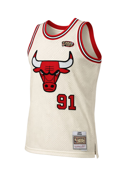 Dennis Rodman Chicago Bulls Jersey Size Medium