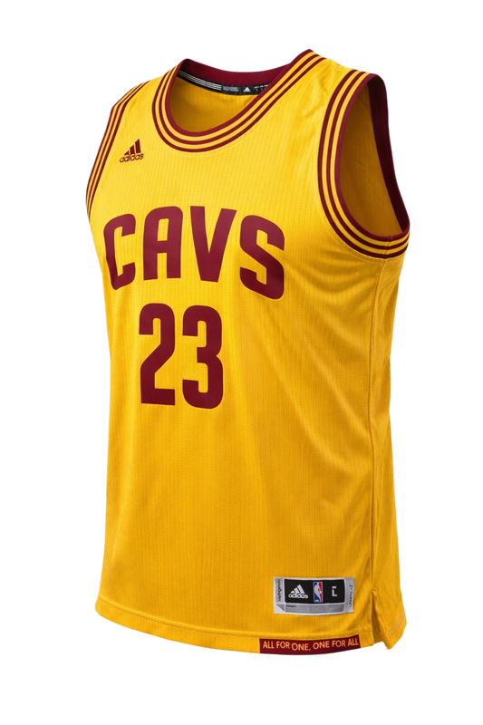 LeBron James Cleveland Cavaliers Jersey Size Large