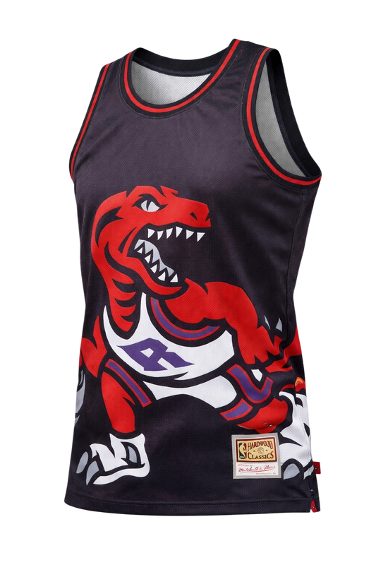 Toronto Raptors Jersey Size Medium