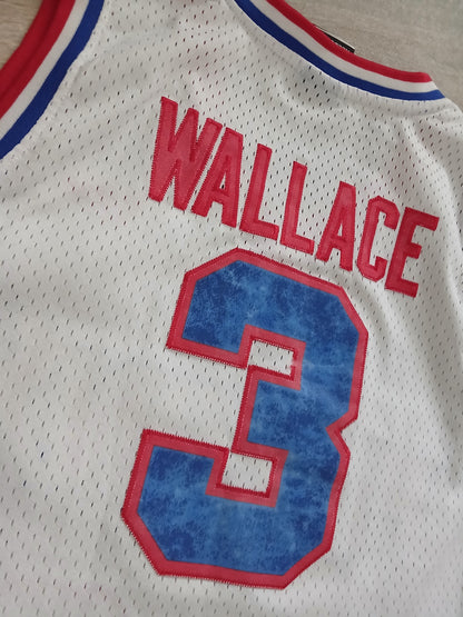 Ben Wallace Detroit Pistons Jersey Size Medium