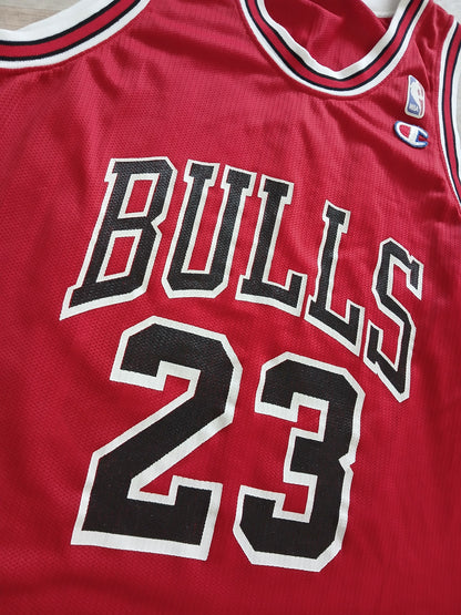 Michael Jordan Chicago Bulls Jersey Size Large (fits Medium)