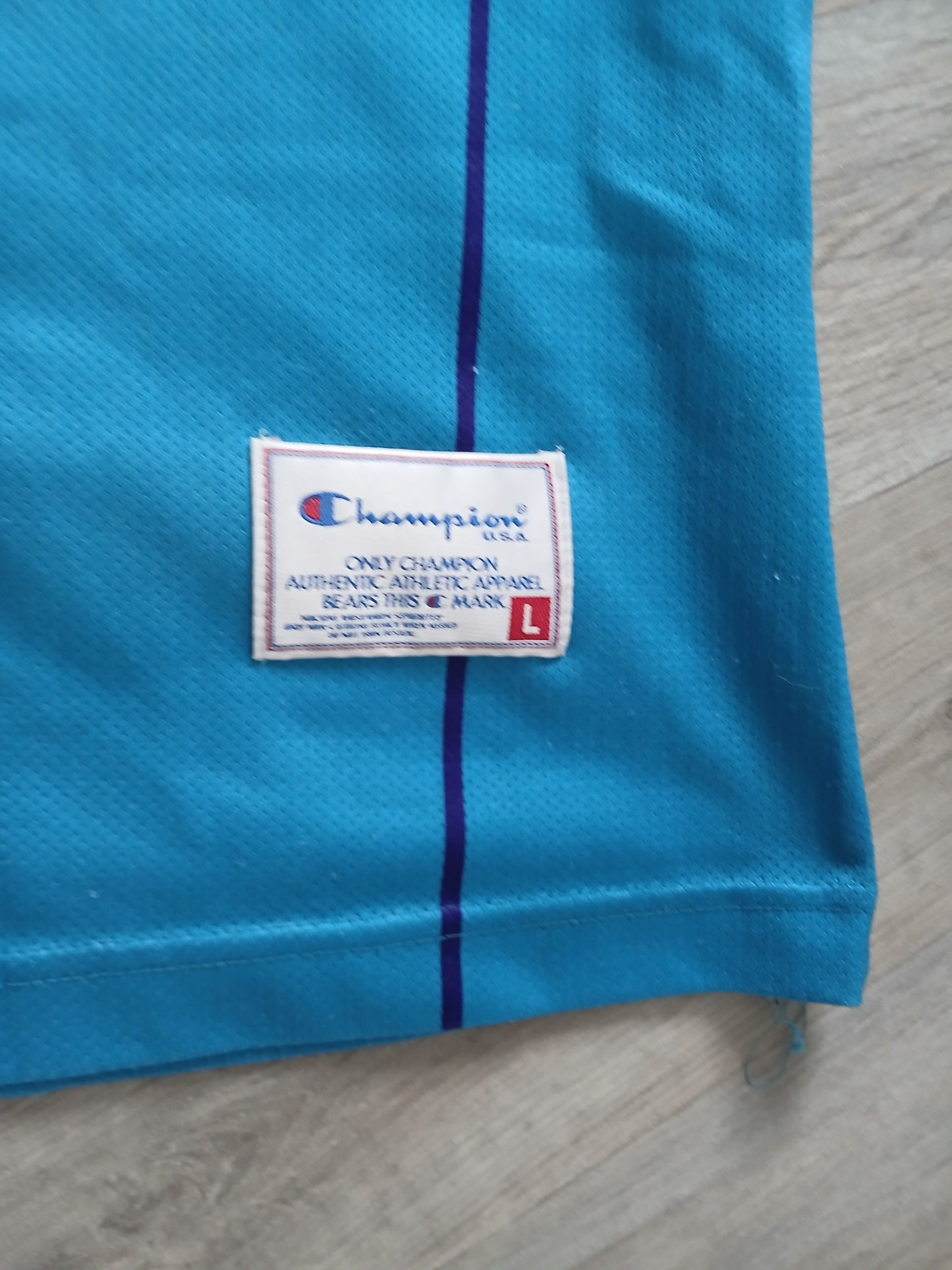 Larry Johnson Charlotte Hornets Jersey Size Large