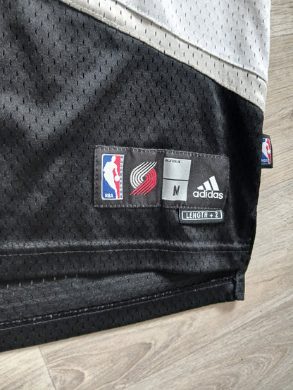 Brandon Roy Portland Trailblazers Jersey Size Medium