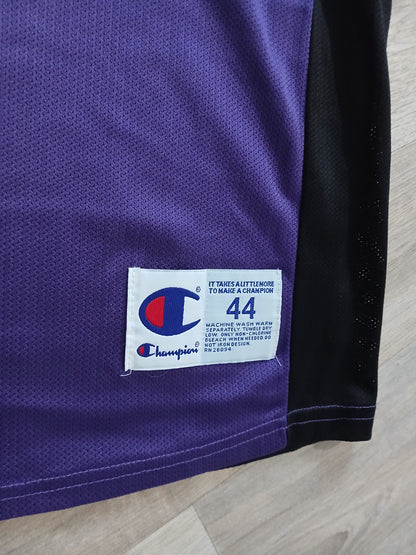 Vince Carter Toronto Raptors Jersey Size Large