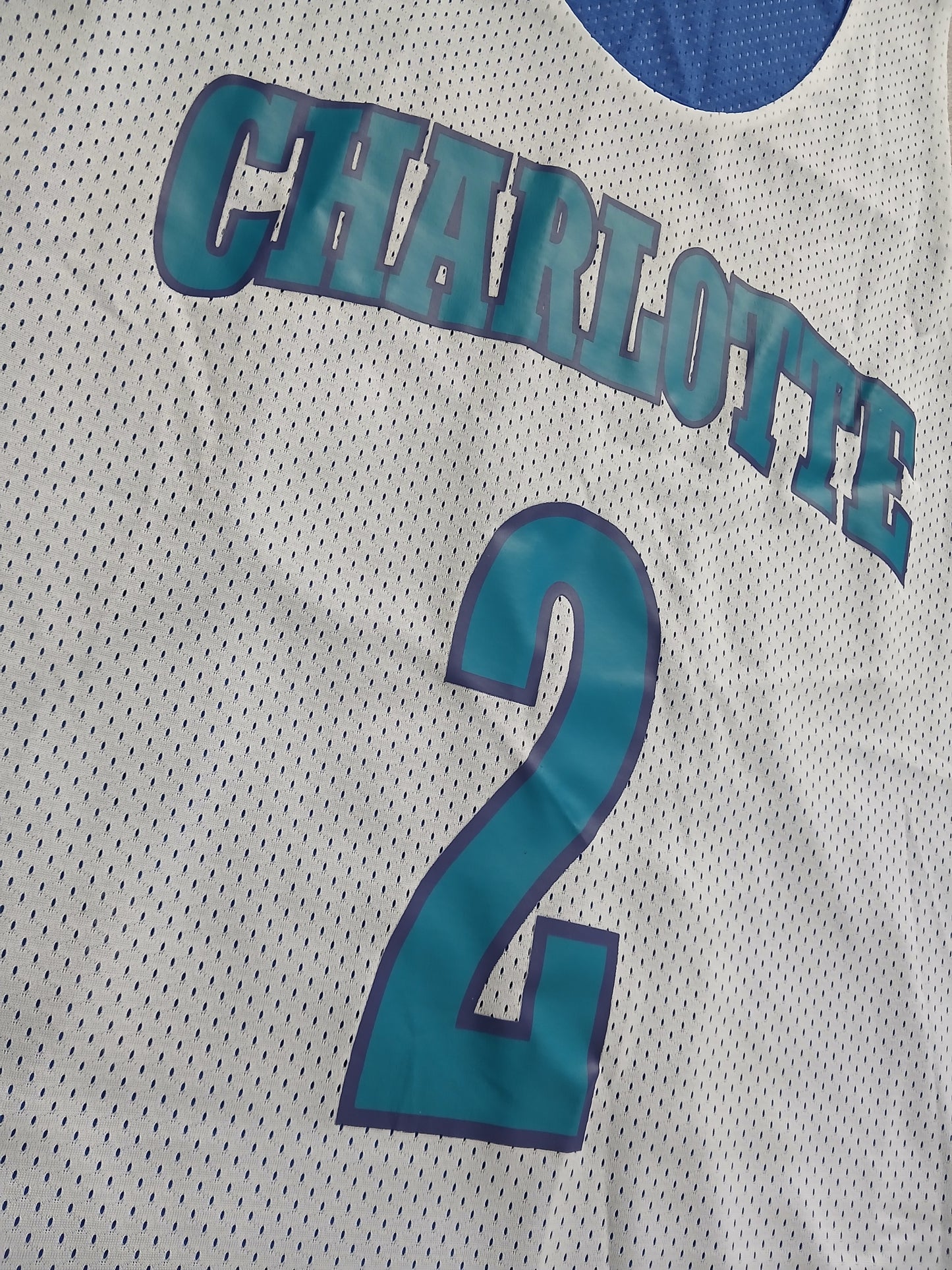 Larry Johnson Reversible Charlotte Hornets Jersey Size XL