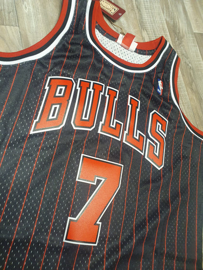 Toni Kukoc Chicago Bulls 1995-96 Alternate Jersey