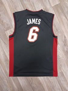 Lebron James Miami Heat jersey