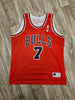 Load image into Gallery viewer, Ben Gordon Chicago Bulls Jersey Size XL