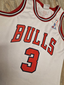 ben wallace bulls