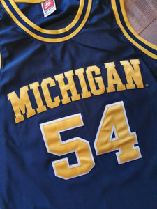Robert Tractor Traylor Michigan Wolverines Authentic Jersey 